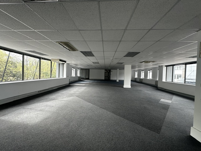 To Let Commercial Property for Rent in Newlands Western Cape